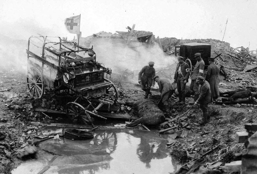 一战中动物发挥重要作用