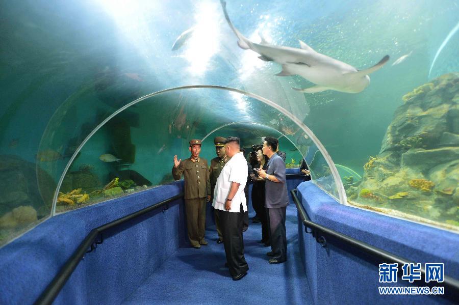 （国际）（3）金正恩视察松涛园国际少年团夏令营