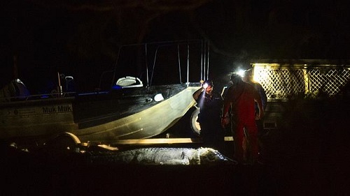 男子被巨鳄叼走警察&ldquo;辑凶&rdquo;杀鳄腹中找到残肢