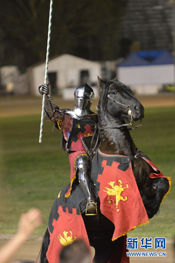 堪培拉趣味农展会小猪赛跑马车竞速组图