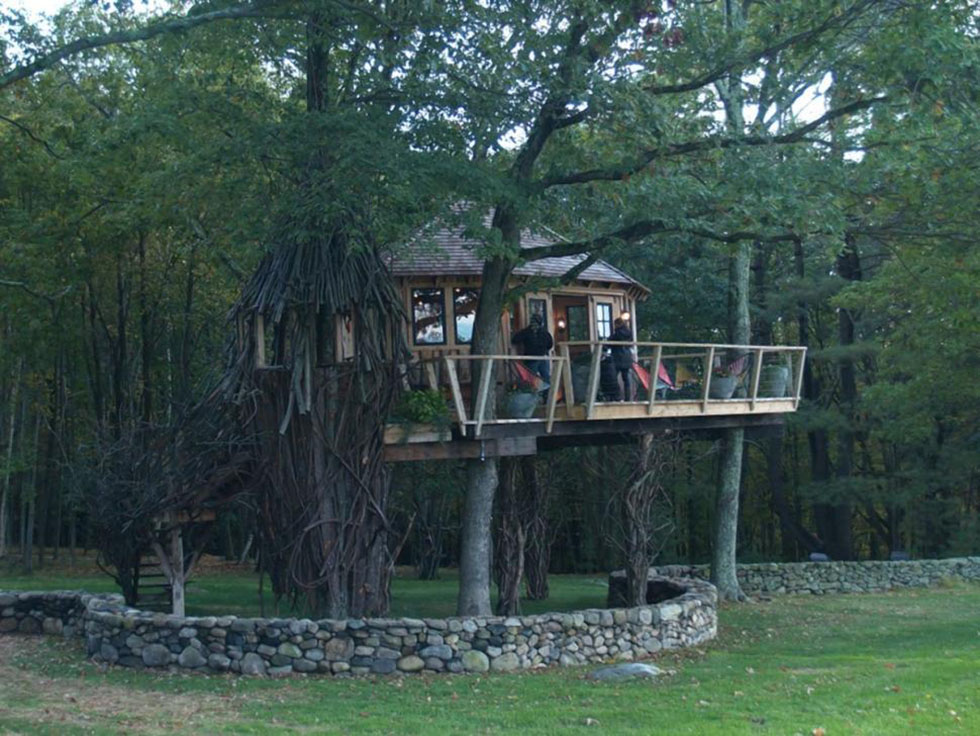 美国男子专职搭树屋起价5万美元高清组图