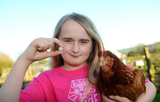 英国女孩海斯认为她的母鸡下了一颗世界上最小的鸡蛋。(网页截图)