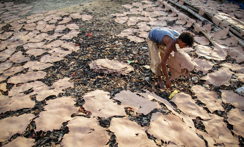 生活在皮革污染中的人们(高清组图)