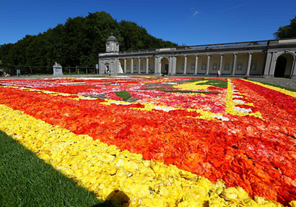 比利时南部鲜花地毯炫彩亮相