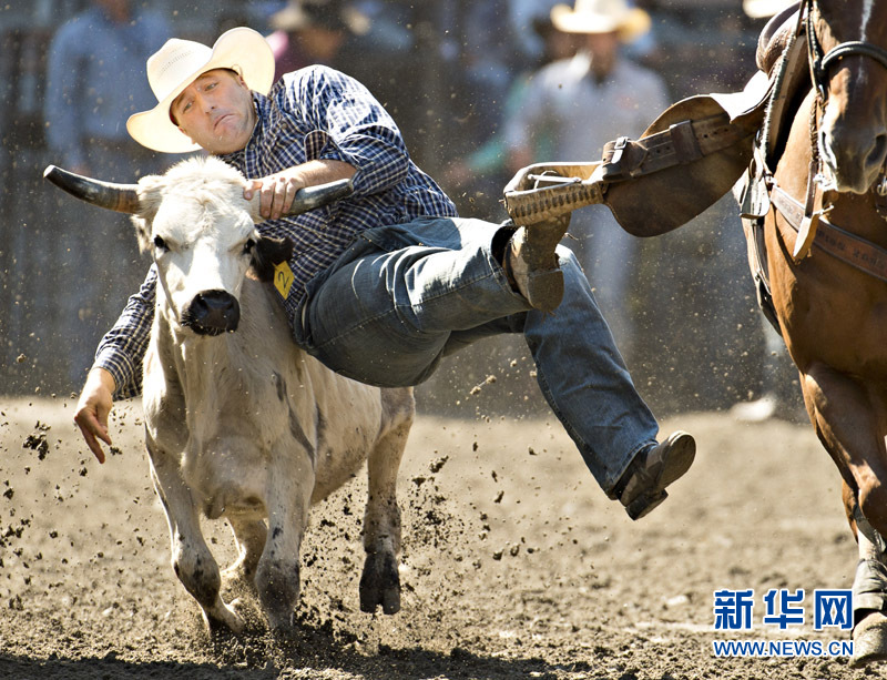 第48届加拿大圣泰特牛仔节开幕(高清)