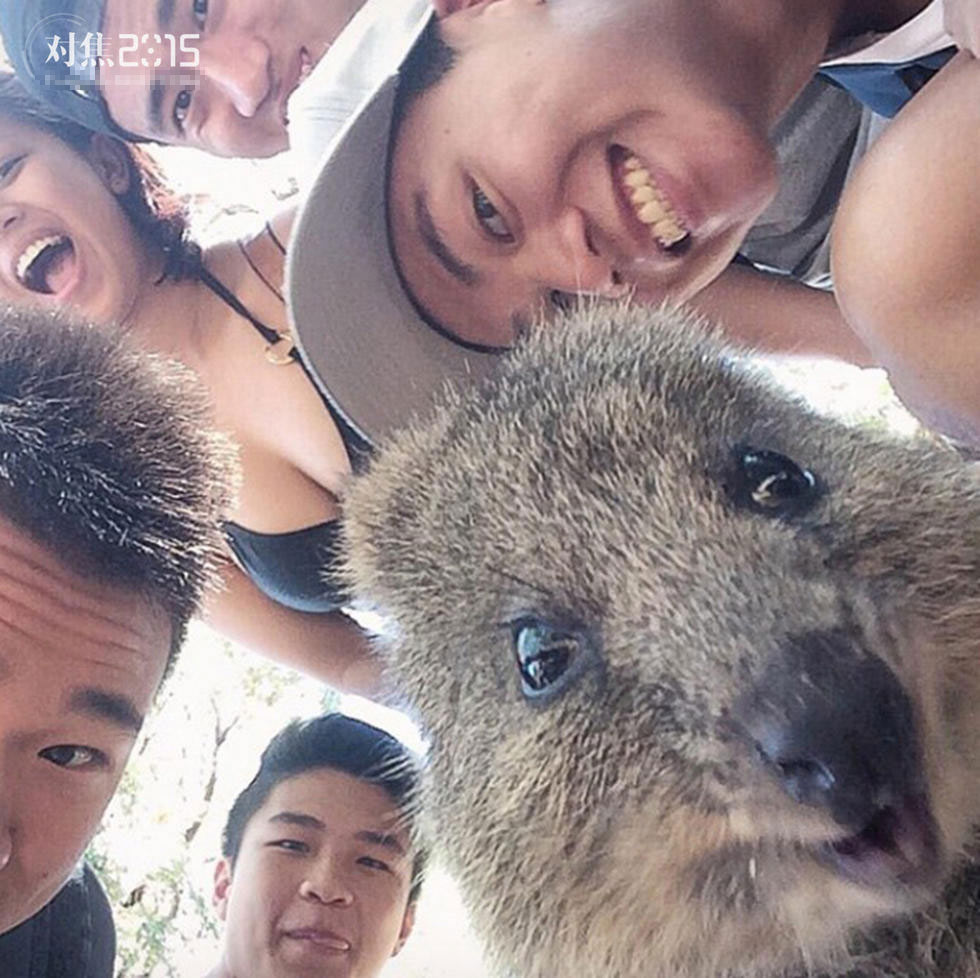 CNN评出2015年趣味自拍照