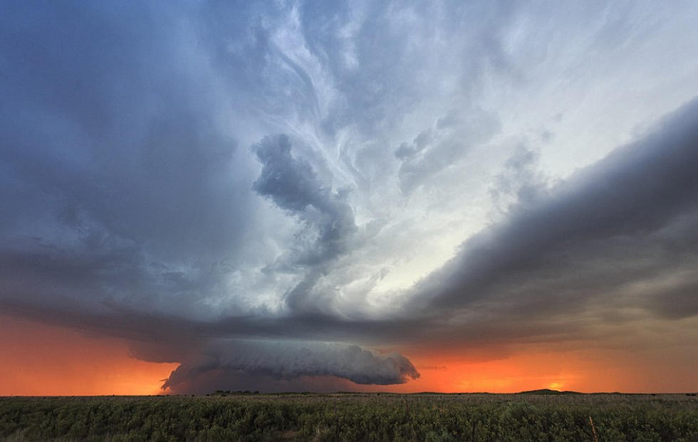 英媒选出2015年度最惊人照片