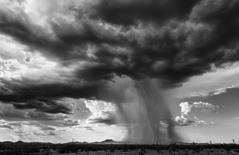 镜头记录美国"龙卷风走廊"残酷风暴中的极致美景(高清组图)