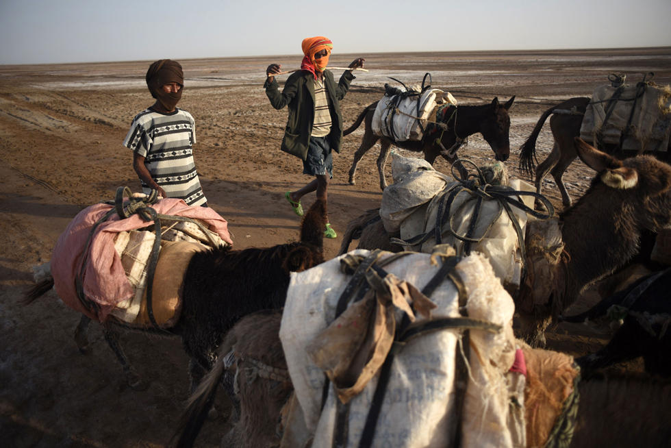 埃塞俄比亚古老的盐矿贸易 一块盐卖1元多