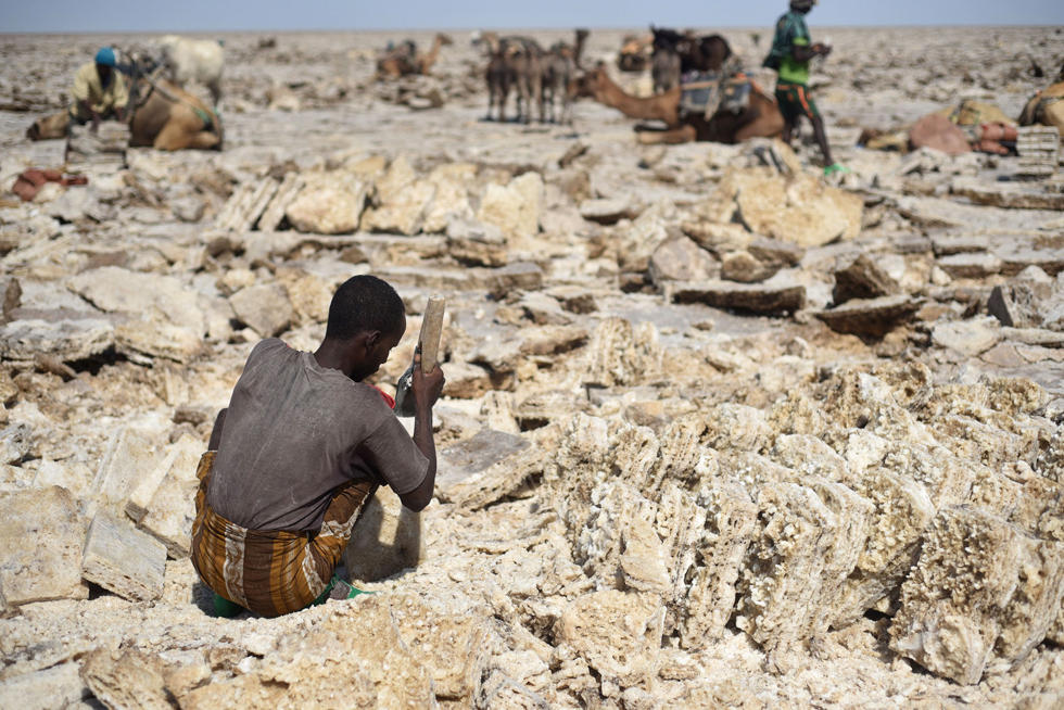 埃塞俄比亚古老的盐矿贸易 一块盐卖1元多