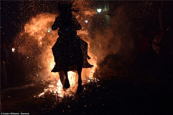 西班牙勇士策马穿火 庆祝圣安东尼节(组图)