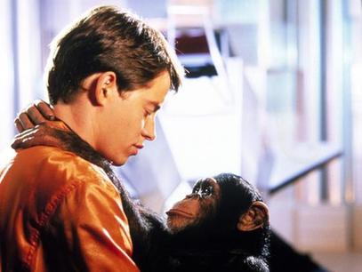 猴年来了：盘点与猴有关的经典电影