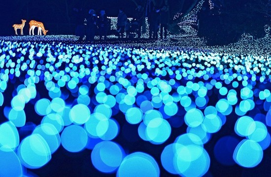 绮丽光影点亮日本古都奈良之夜梦幻唯美（组图）