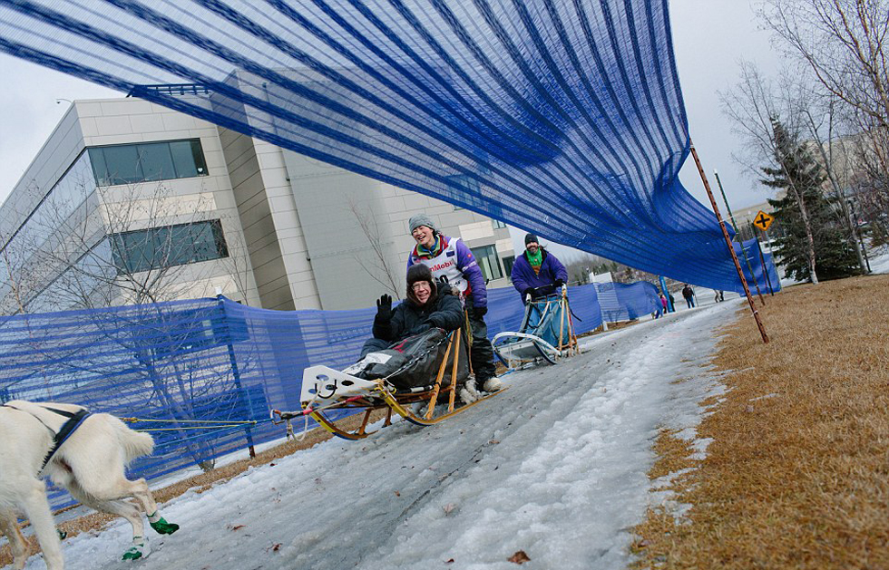 遭遇暖冬阿拉斯加雪橇犬大赛无雪可滑高清组图