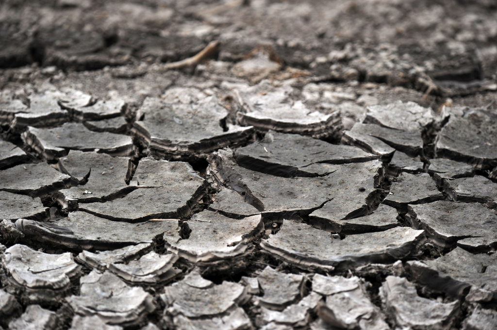 洪都拉斯干旱严重地面龟裂(高清组图)