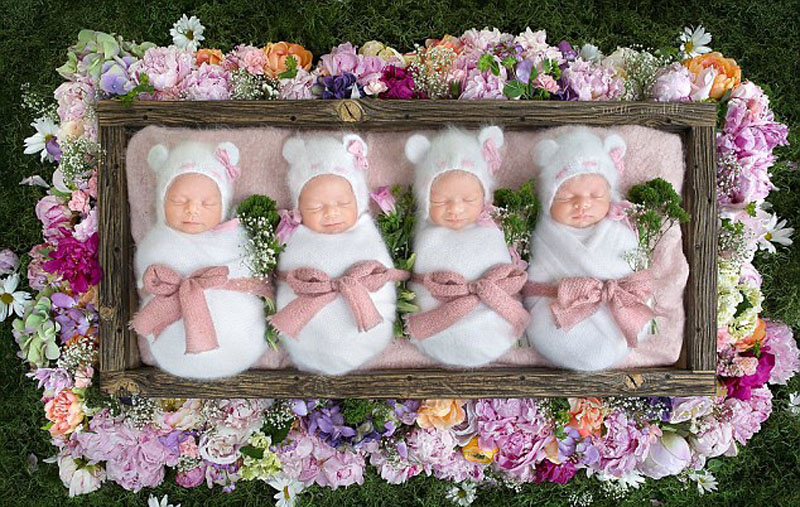 萌翻加拿大罕见四胞胎宝宝排排睡组图