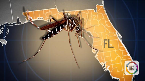 寨卡病毒"抵达"迈阿密海滩 疾控中心发布旅行警告