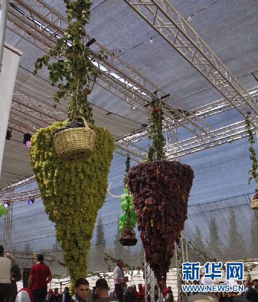 巴勒斯坦举办一年一度葡萄节