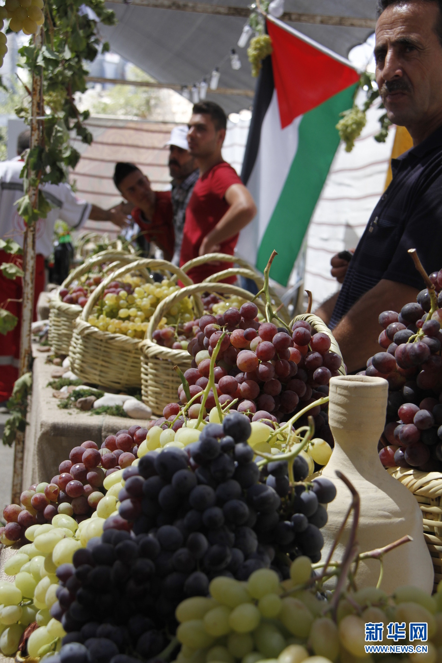巴勒斯坦举办一年一度葡萄节