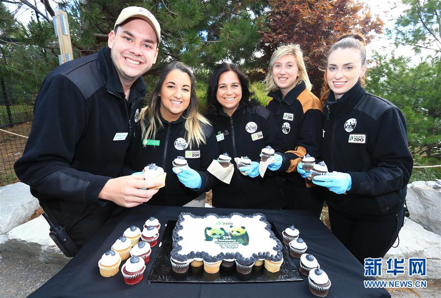 （国际）（6）加拿大出生的龙凤胎熊猫宝宝欢庆周岁