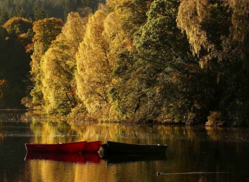苏格兰秋色惹人醉：湖泊倒映多彩树林斑斓美丽