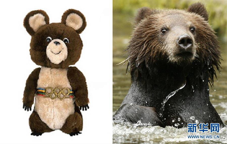 10月21日,2018年俄罗斯世界杯足球赛吉祥物揭晓,一个名为"扎比瓦卡"的