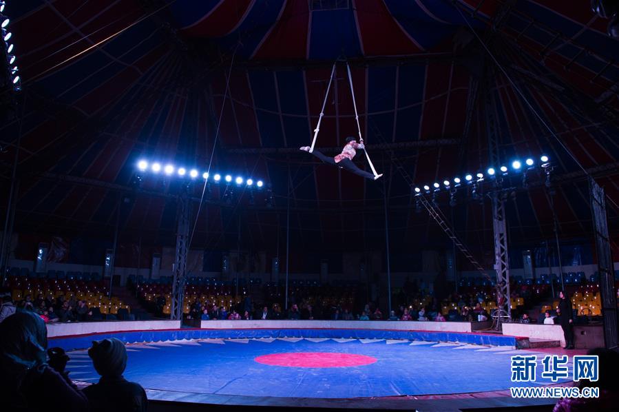 （国际）（6）被淡忘的埃及国家马戏团