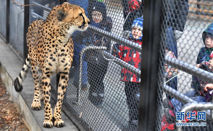 [3]（外代二线）莫斯科动物园