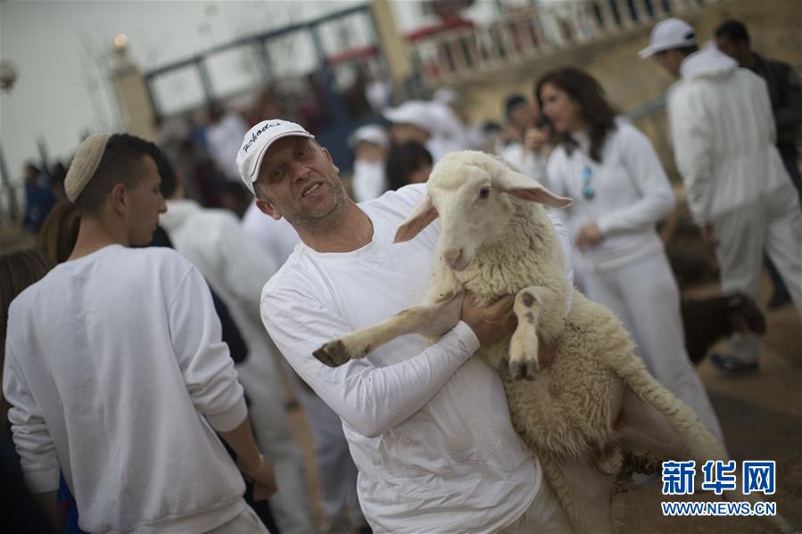 撒马利亚人庆祝逾越节组图