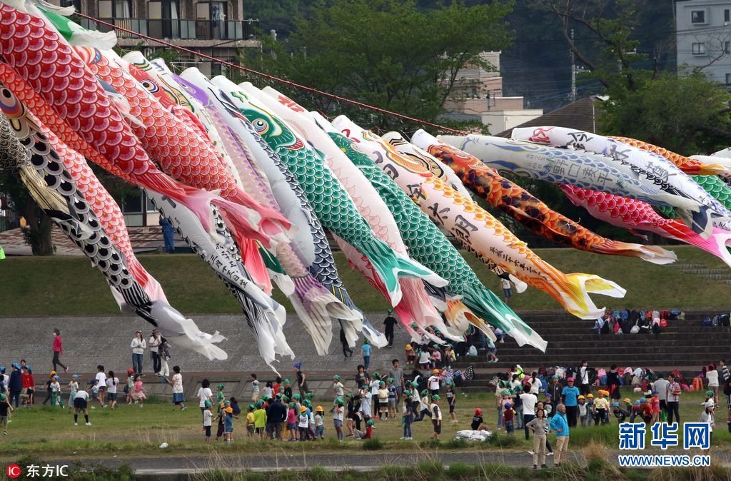 日本1200条鲤鱼旗空游相模川组图