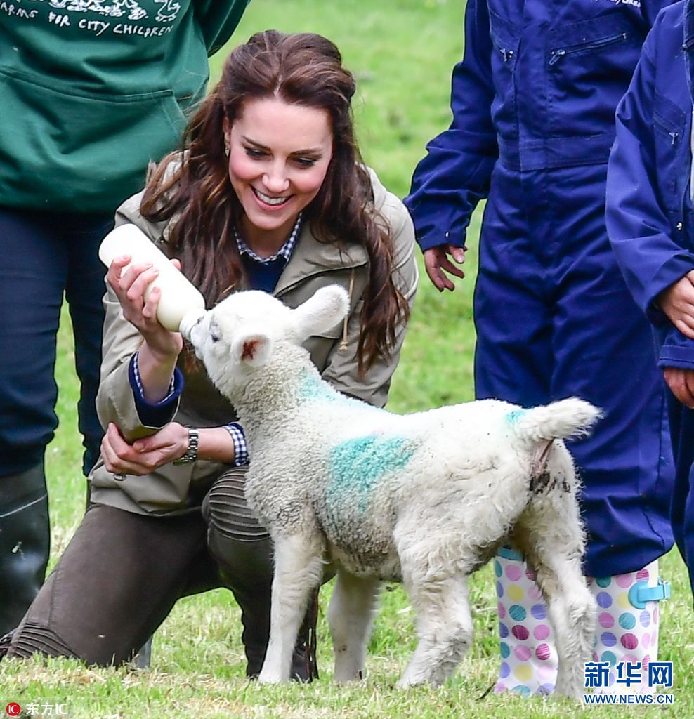 凯特王妃走访农场 变身奶农给小羊喂奶(组图)