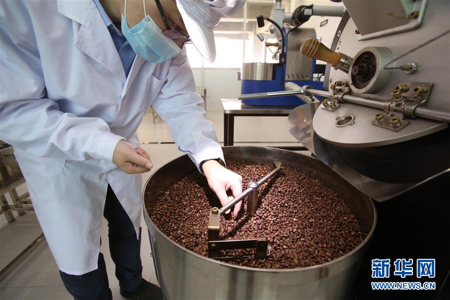 （国际）（13）从埃塞俄比亚塔普到中国广东&mdash;&mdash;咖啡豆的&ldquo;一带一路&rdquo;之旅