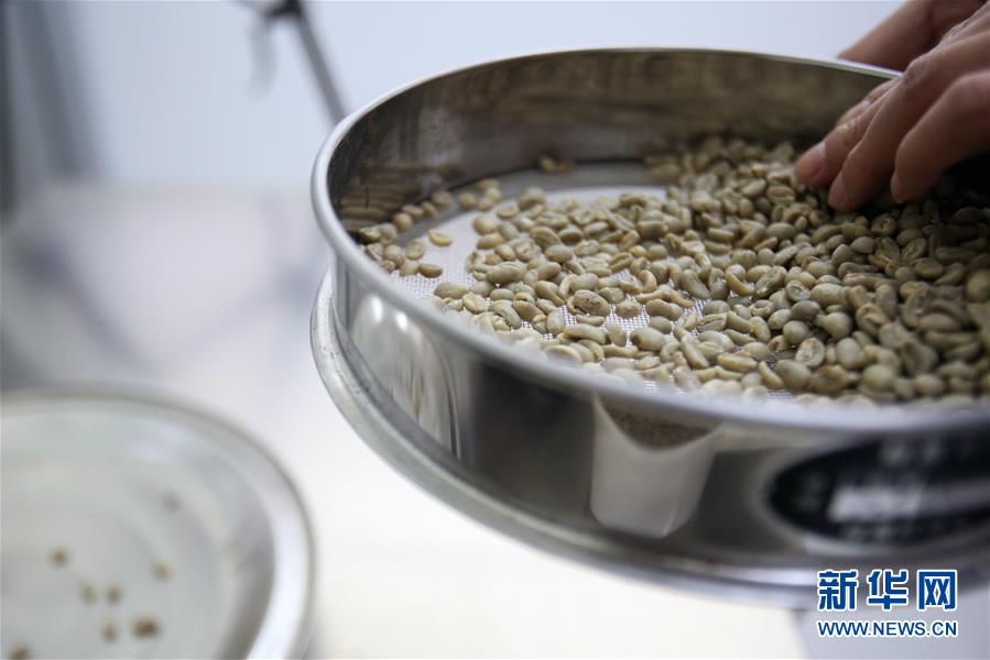 （国际）（12）从埃塞俄比亚塔普到中国广东&mdash;&mdash;咖啡豆的&ldquo;一带一路&rdquo;之旅