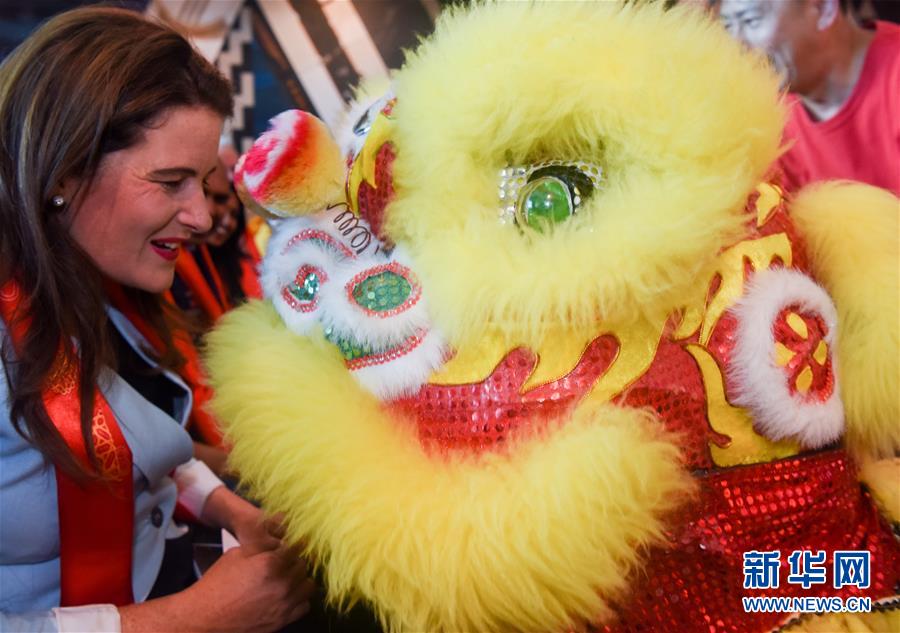 （国际）（11）春节活动进多国