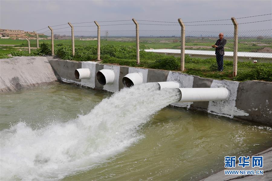 （国际&middot;图文互动）（3）萨利赫家的麦田又绿了&mdash;&mdash;重建灌溉系统为伊拉克返乡民众带来生机