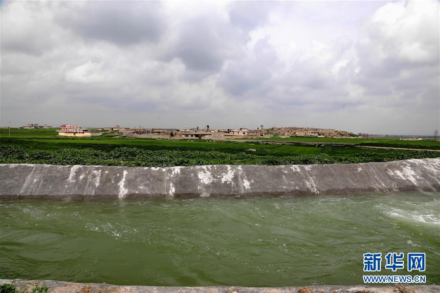 （国际&middot;图文互动）（4）萨利赫家的麦田又绿了&mdash;&mdash;重建灌溉系统为伊拉克返乡民众带来生机