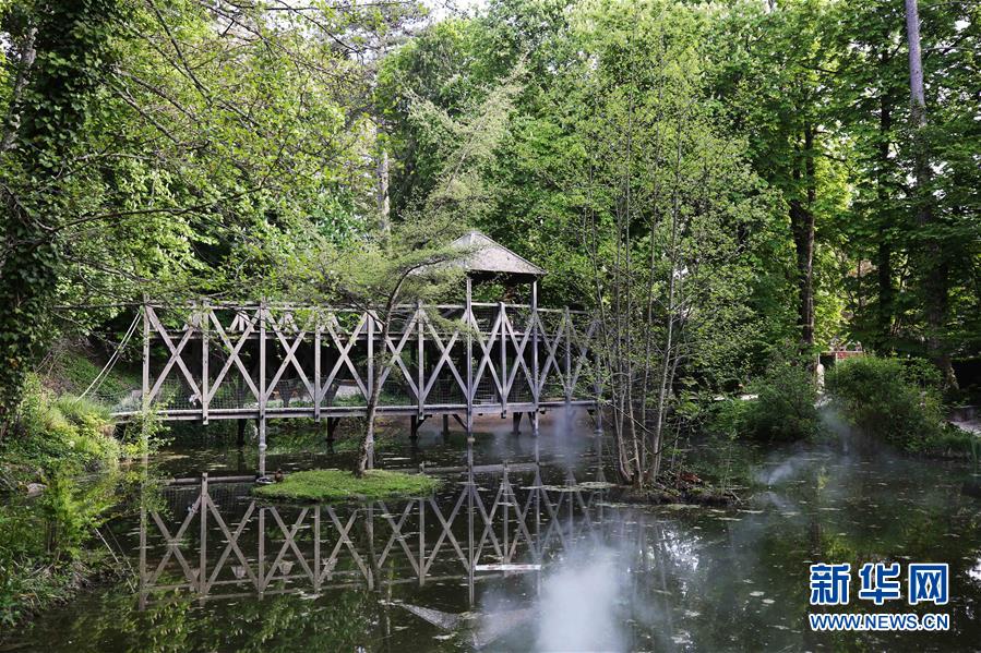 （国际）（16）永远的达&middot;芬奇&mdash;&mdash;纪念达&middot;芬奇逝世500周年