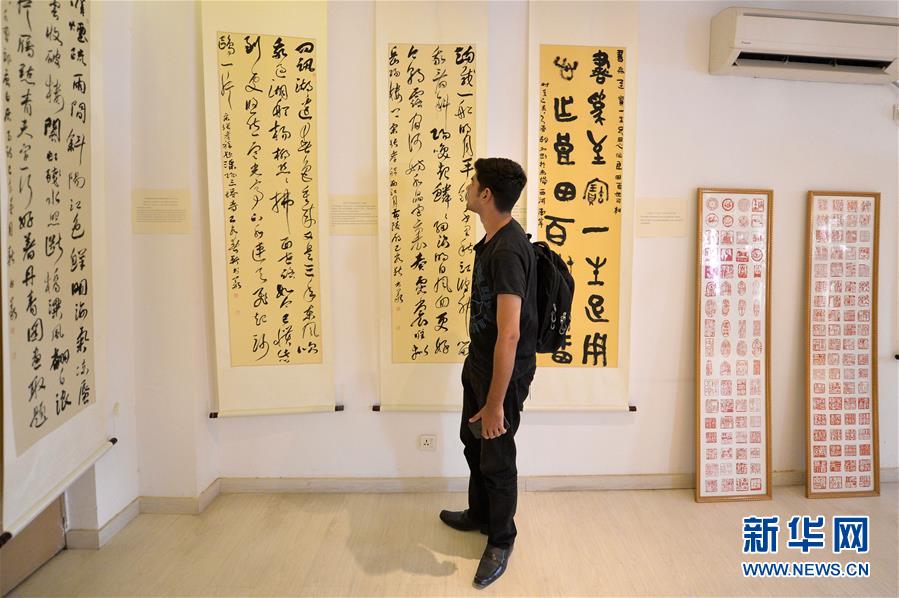 （国际）（1）中巴联合书画展在伊斯兰堡孔子学院展出