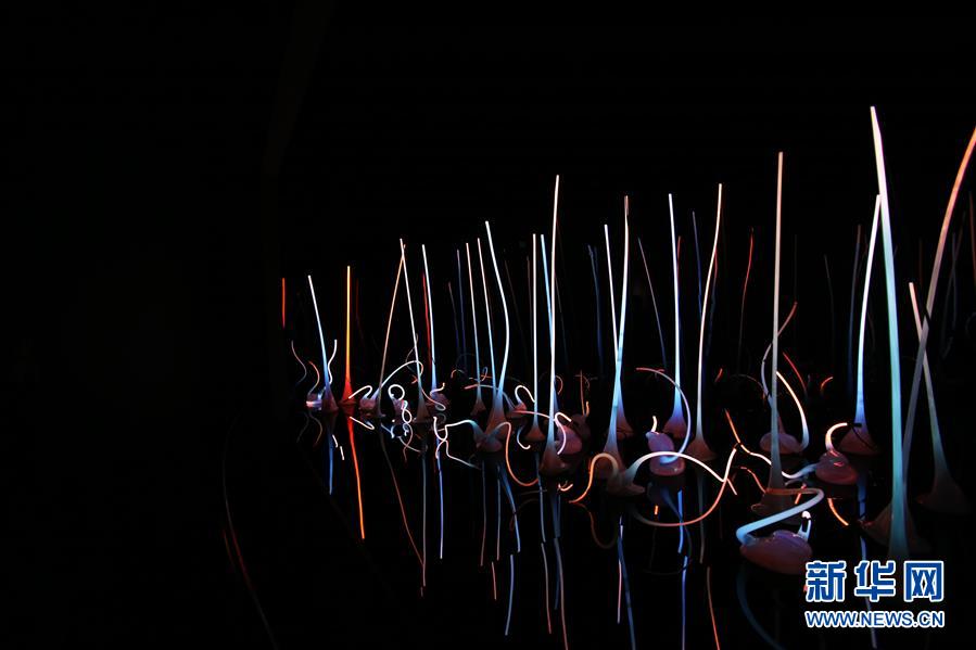 （国际）（2）西雅图：色彩斑斓的玻璃世界