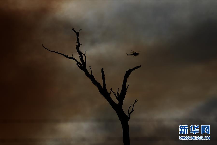 （国际）（1）堪培拉遭遇林火威胁