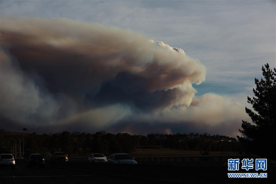 （国际）（4）堪培拉遭遇林火威胁