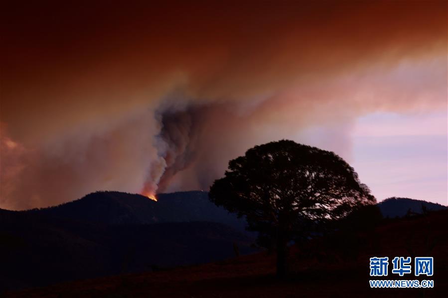 （国际）（3）堪培拉遭遇林火威胁
