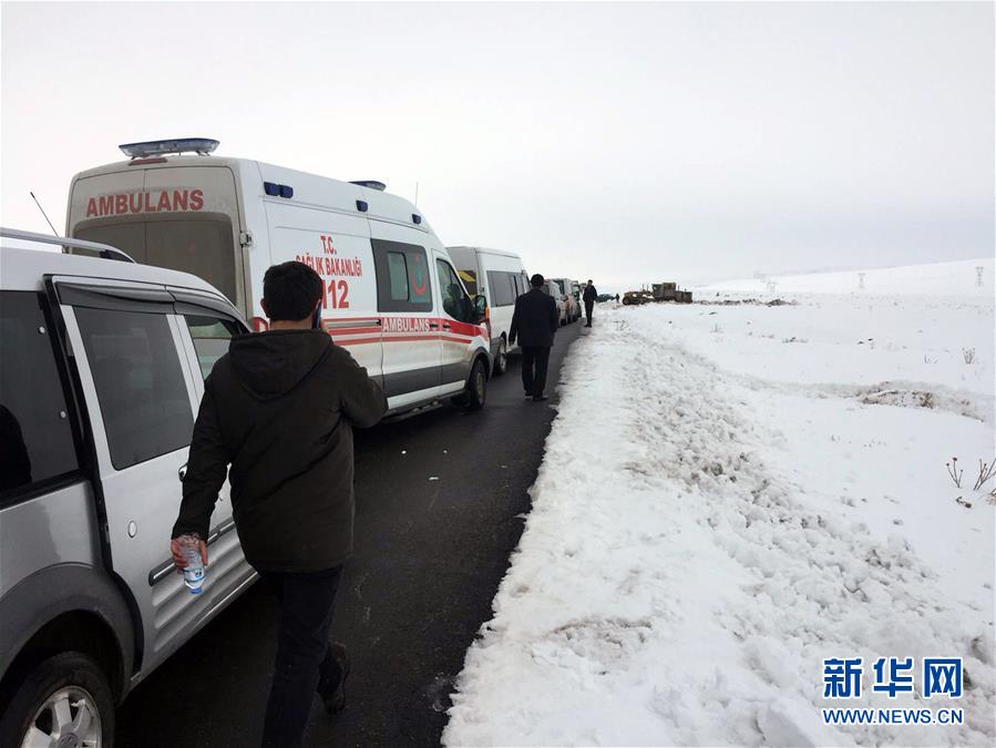 （国际）（5）土伊边境发生地震 至少9人死亡