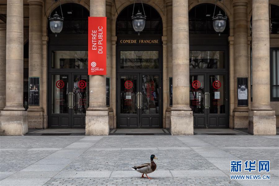 （国际疫情&middot;XHDW）（4）空城巴黎:小鸟上街 鸭子当道