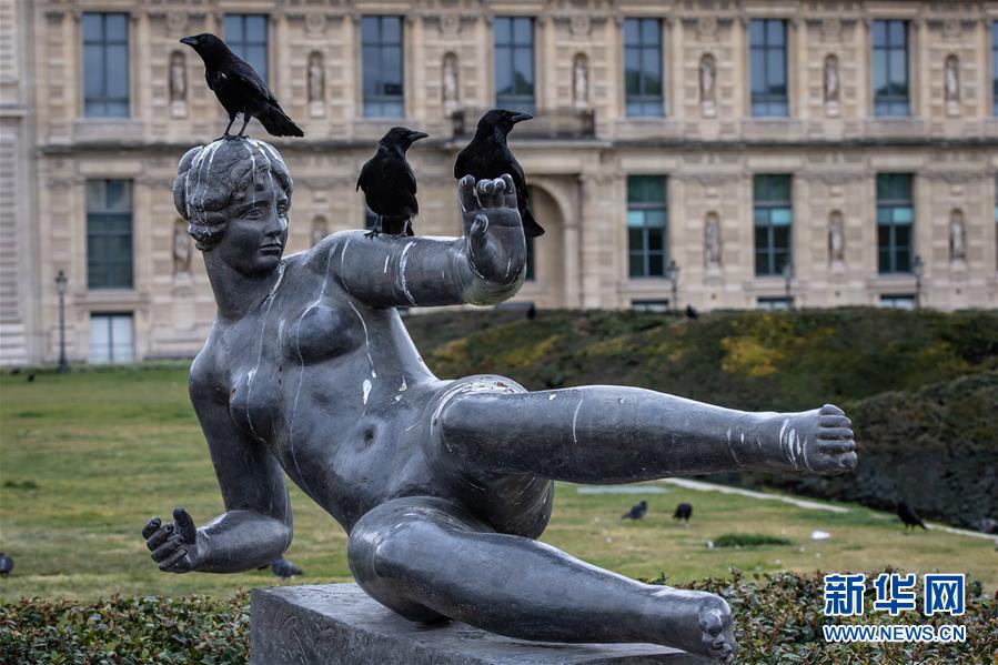 （国际疫情&middot;XHDW）（8）空城巴黎:小鸟上街 鸭子当道