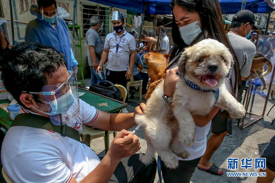 （国际）（1）世界狂犬病日