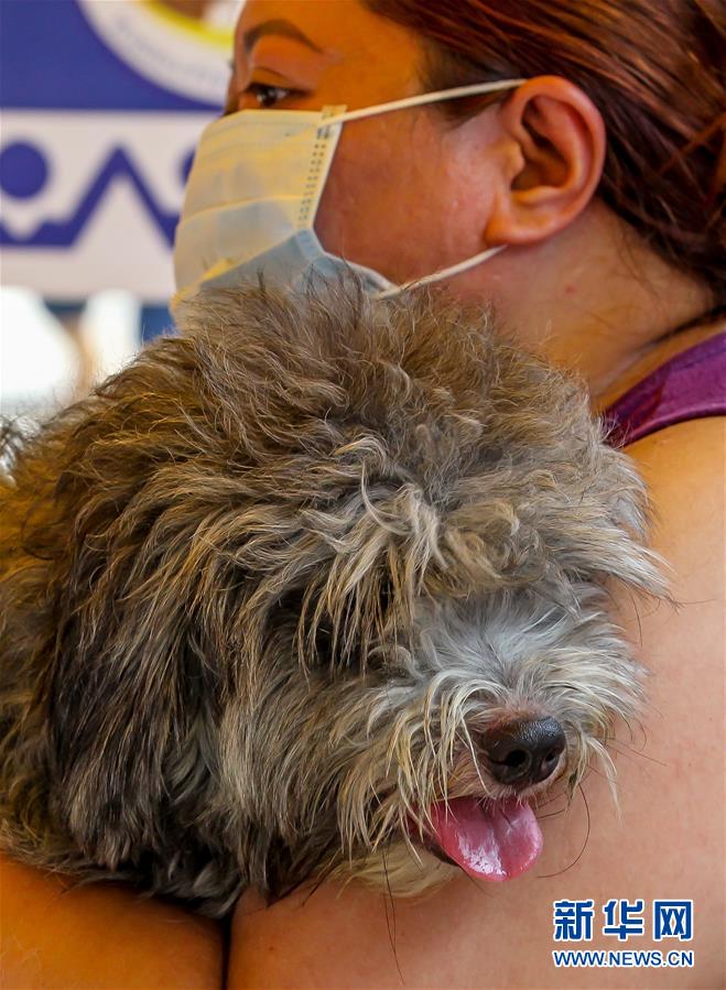 （国际）（4）世界狂犬病日