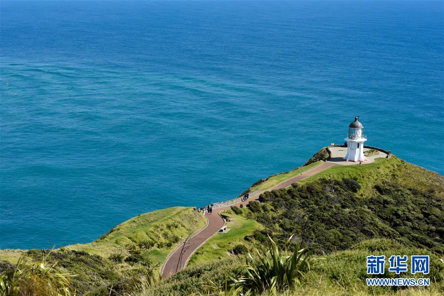 （国际）（2）新西兰北岛最北端&mdash;&mdash;雷恩加角