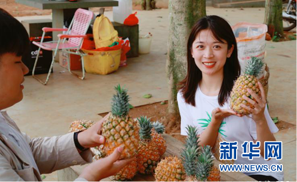 "菠萝妹"王小颖展示徐闻菠萝.