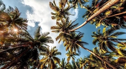 在三江交汇处，要搞一件大事！